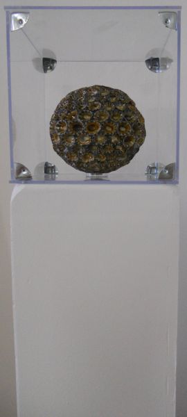 MW 06 (Normale Auflösung)